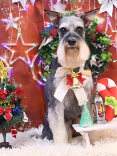 20231217銀次くん